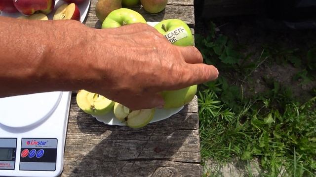 Раннелетние яблоки на 20.07./ Джулия, Елена, Малуша, Пирос, Старк Эрлиест, Суйслепское, Эрли Женева