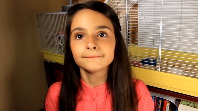 ЧТО делать ЕСЛИ Хомячиха БЕРЕМЕННА? / Уход за животными / Хомки / what if the hamster is pregnant