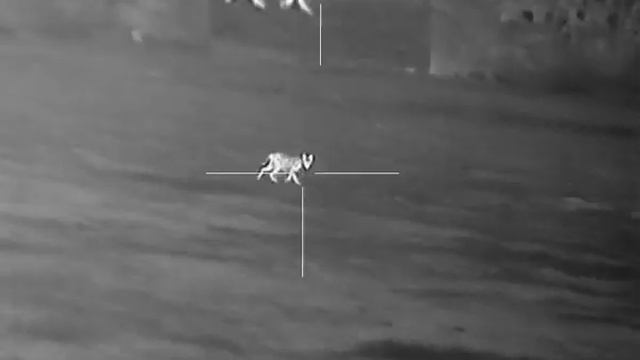 3 декабря 2023 г. смотреть онлайн