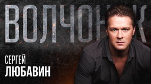 Сергей Любавин - Волчонок