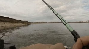 НА ЧТО ЛОВИТЬ ХАРИУСА поздней осенью ? Крупный ХАРИУС на удочку, недалеко от Бийска.Рыбалка 2020