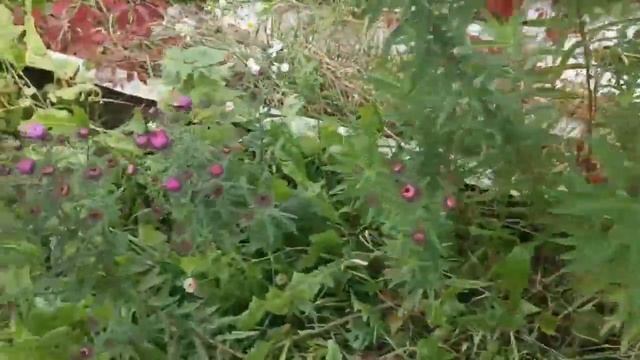 бушует буря а бойные сидят смотреть онлайн