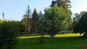ОТДЫХ В ДОМЕ ОТДЫХА ПОДМОСКОВЬЕ