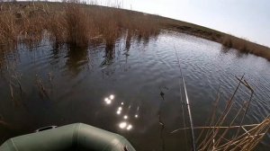 Первые весенние караси на БОКОВОЙ КИВОК