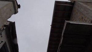 БОЙНЫЕ ГОЛУБИ В КРЫМУ Ленинаканские голуби самые лучшие!Армянские голуби )