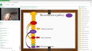 Система построения организации. Татьяна Французова