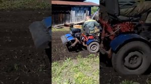 Самодельный минитрактор Алтай. Вспашка огорода.