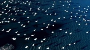 Жизнь - это чудо. Автор Лея Адель. Стихи о жизни.