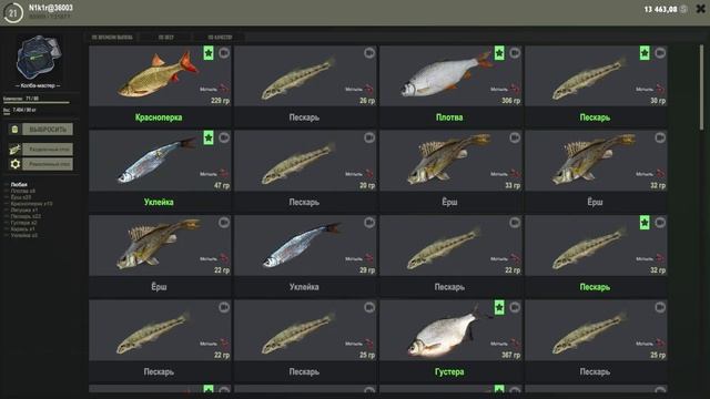 Fisher Online/Как фармить новичку?/Гайд/Фарм живца/Пруд Дукора/Фарм серебра и опыта