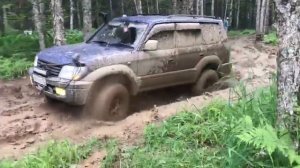 Дорога на водопад"Тигровый"