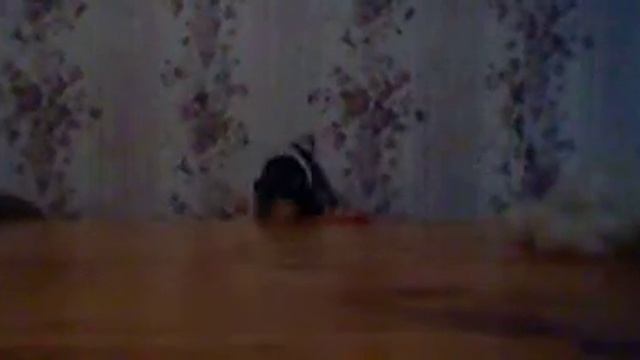 Epic puppet battle! смотреть онлайн