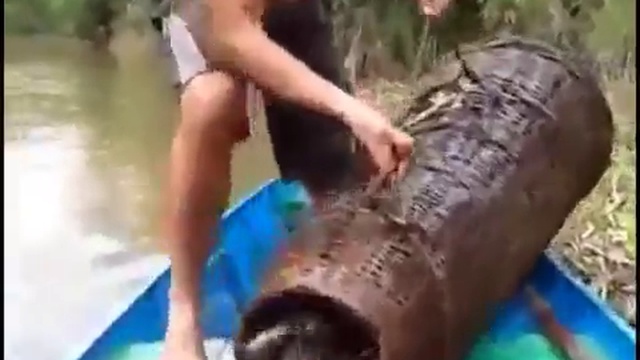 Мне очень надо с ними на рыбалку смотреть онлайн