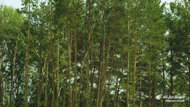 One Day in Levshino смотреть онлайн