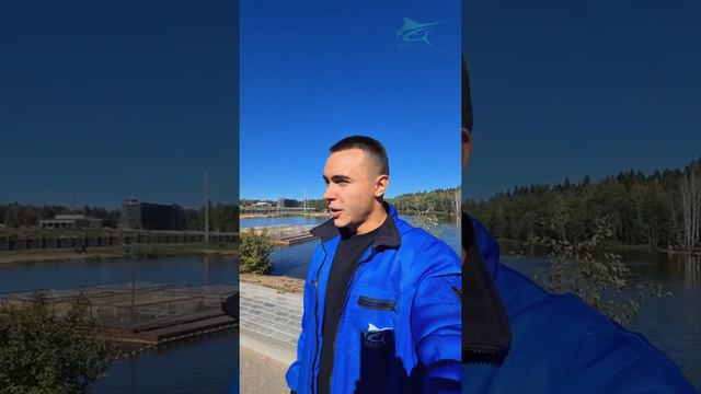Первый запуск форели. Планы на неделю. Рыбалка