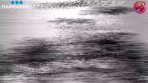 #KMTM #BlackBurn Новые вкусы от BURN & KMTM / пушка, валына, ствол, или проходняк?