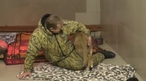 Олег Зубков убирает, а Симба наблюдает и рассказывает истории! Очень разговорчивый львенок! Тайган!