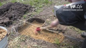 Как установить теплицу / фундамент для теплицы своими руками