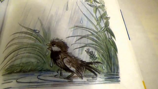 В гостях у сказки. Сутеев- "Под грибом"Сказка для детей. смотреть онлайн