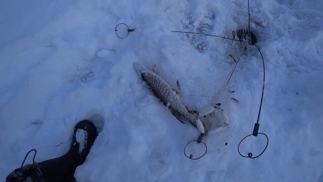 ЩУКА спасла рыбалку! Ловля рыбы хапугами! смотреть онлайн