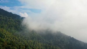 Тибетские поющие чаши - музыка для медитации