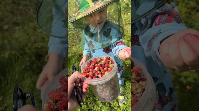 Света Марсель🌈 уехали в Башкирию! смотреть онлайн