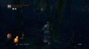 Атмосферное прохождение Dark Souls Remastered 🔶 № 19 Символ Арториаса 🔶 Сад Тёмных Корней 🔶 2k
