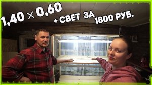 Крепкий и большой СТЕЛЛАЖ  с освещением для рассады своими руками. [Жизнь в деревне]