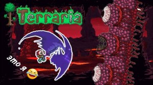 Победил СТЕНУ ПЛОТИ в TERRARIA!!!