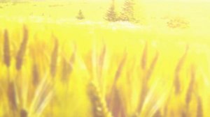 Аниме клип. Ра-ца-цай ариби даби дила. Сага о Винланде.