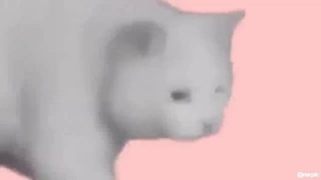 He