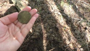 2 копейки 1800 г. Павел I. Поиск монет.