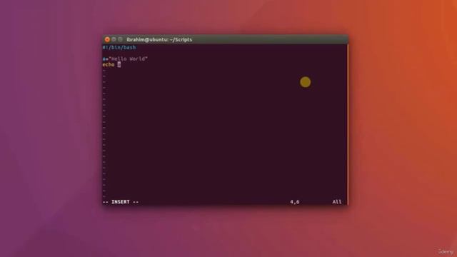 002 Variables