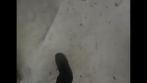 Что будет если Заморозить мандарин?