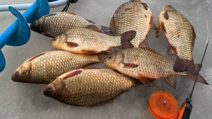 ВОТ ЭТО КАБАНЫ! Крупный карась в марте со льда