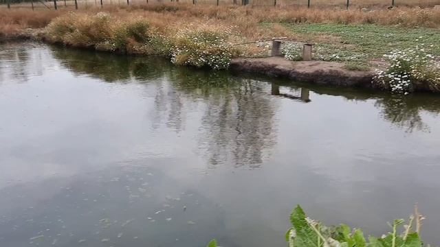 ОСЕННИЙ ДЕНЬ В ДЕРЕВНЕ. смотреть онлайн