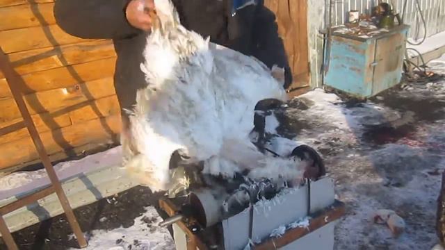 самодельная перосемная машина в работе (гусь) смотреть онлайн