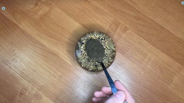 ТРАВА ДЛЯ КОТА МАСТЕР КЛАСС/ БОЛЬШЕ НЕ ПОКУПАЮ ТРАВУ В ЗООМАГАЗИНЕ /  ГДЕ КУПИТЬ ЗЕРНО ДЁШЕВО?