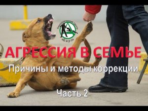 АГРЕССИЯ В СЕМЬЕ. Часть 2