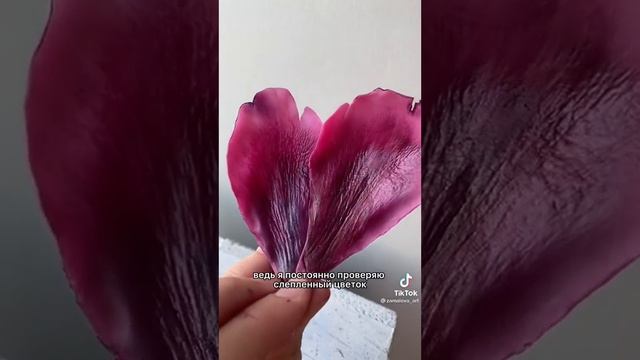 "Настоящие" цветы из полимерной глины ?? #diy #лепка #цветы #холодныйфарфор #полимернаяглина