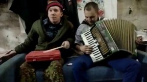 Фиалка расцвела Kazka