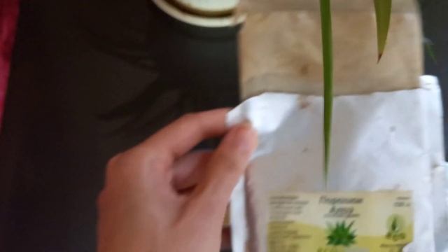 Осенняя маска для лица | Как убрать морщины