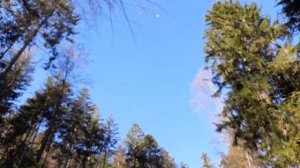 Романс. поёт  Г.Хомчик.