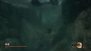Sekiro как нырять и красные глаза карпа