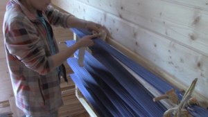 Сновка основы