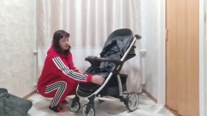 Прогулочная коляска Carrello Vista 2020 год. Обзор.