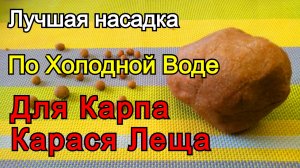 ЛОВИ ПО ХОЛОДНОЙ ВОДЕ. Насадка для Крупного Карпа Карася Леща. Тесто из хлеба и пряников