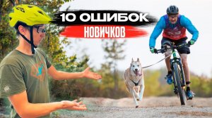 10 ОШИБОК НОВИЧКА в ездовом спорте которые ты точно совершал