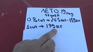 сколько можно собрать малины с 1 сотки || Малина как Бизнес || сколько малины можно собрать