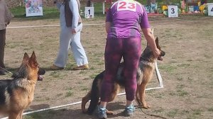 Подростки суки 1