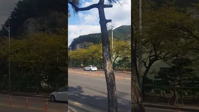 Порты захода во время рейса.Часть 4 смотреть онлайн